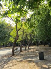 stadspark met schaduw en zon