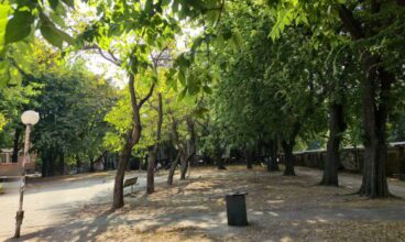 stadspark met bomen terwijl de zon schijnt