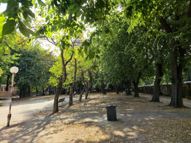 stadspark met bomen terwijl de zon schijnt